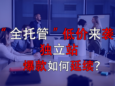 全托管低價來襲，獨(dú)立站爆款如何延續(xù)？