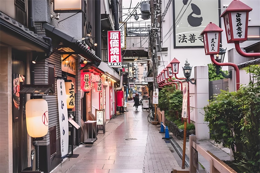 日本跨境電商平臺(tái)市場(chǎng)廣闊